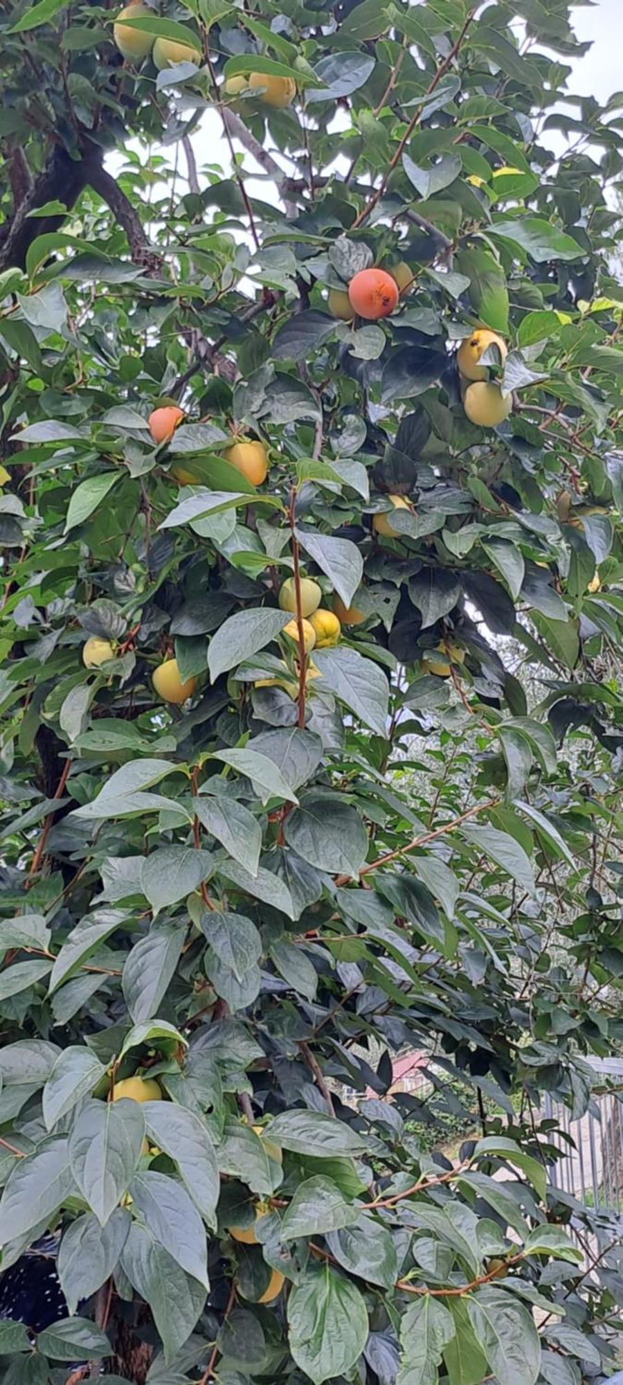 Appartamento Ciclamino 말세진느 외부 사진